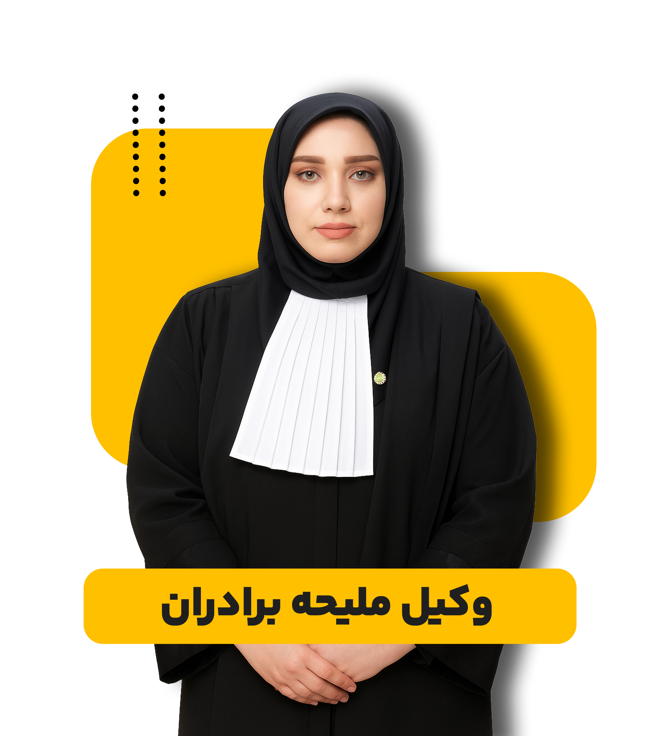 وکیل عمومی