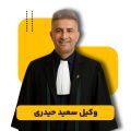 سعید حیدری