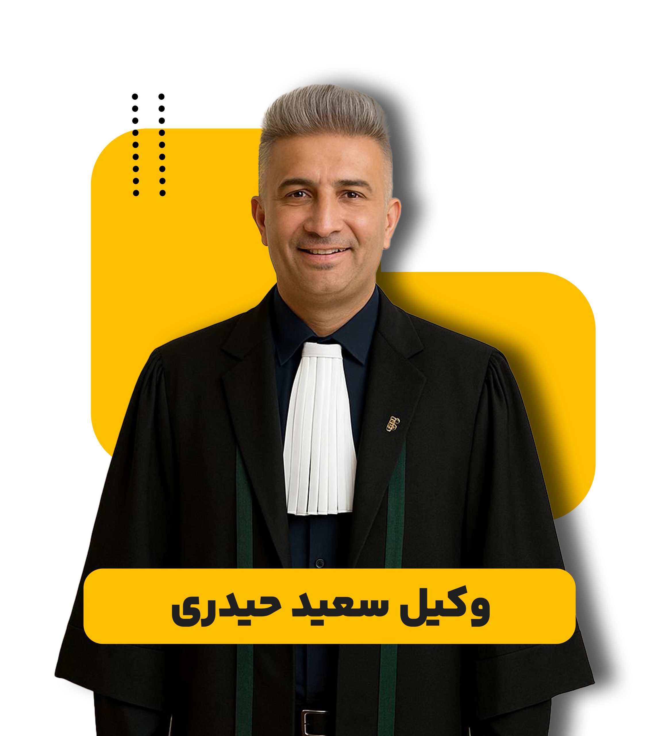 سعید حیدری